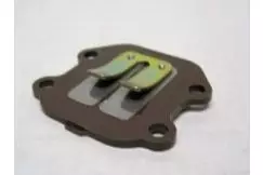 (Udsolgt) Membran - Yamaha Sting SG50 - 